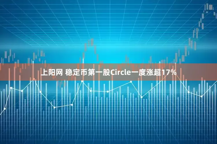 上阳网 稳定币第一股Circle一度涨超17%