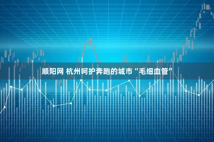 顺阳网 杭州呵护奔跑的城市“毛细血管”