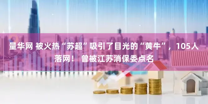量华网 被火热“苏超”吸引了目光的“黄牛”，105人落网！ 曾被江苏消保委点名