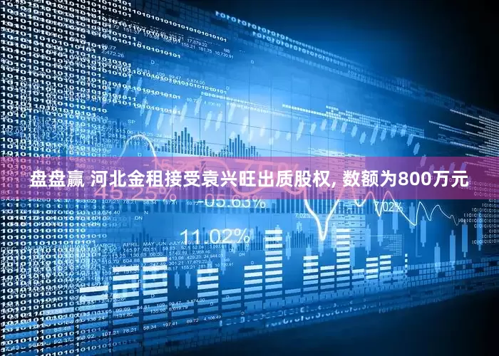 盘盘赢 河北金租接受袁兴旺出质股权, 数额为800万元