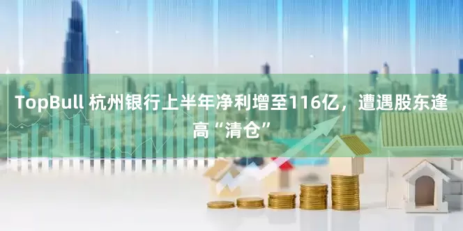 TopBull 杭州银行上半年净利增至116亿，遭遇股东逢高“清仓”