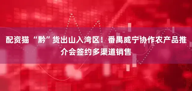 配资猫 “黔”货出山入湾区！番禺威宁协作农产品推介会签约多渠道销售